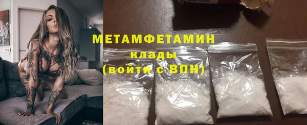 шишки Богородицк