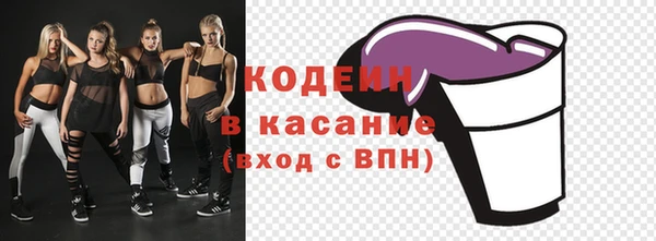 шишки Богородицк