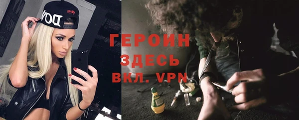 шишки Богородицк