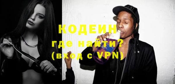 шишки Богородицк
