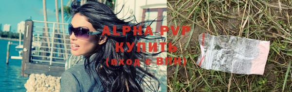 прущий лед Богданович