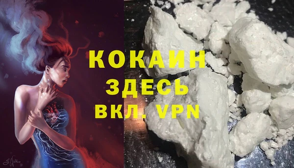 шишки Богородицк