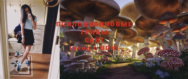 шишки Богородицк