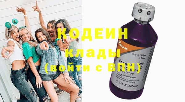 шишки Богородицк