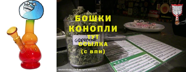 шишки Богородицк
