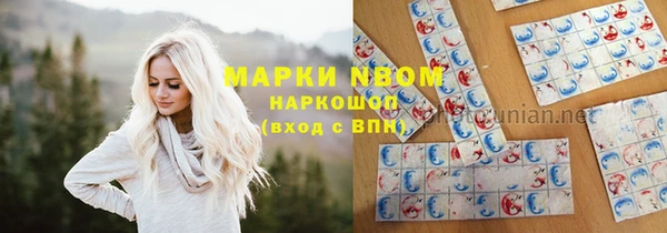шишки Богородицк